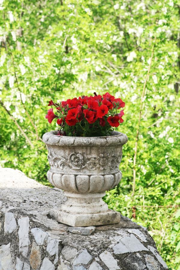 Tra I Monti Bed & Breakfast Tramonti Exterior photo