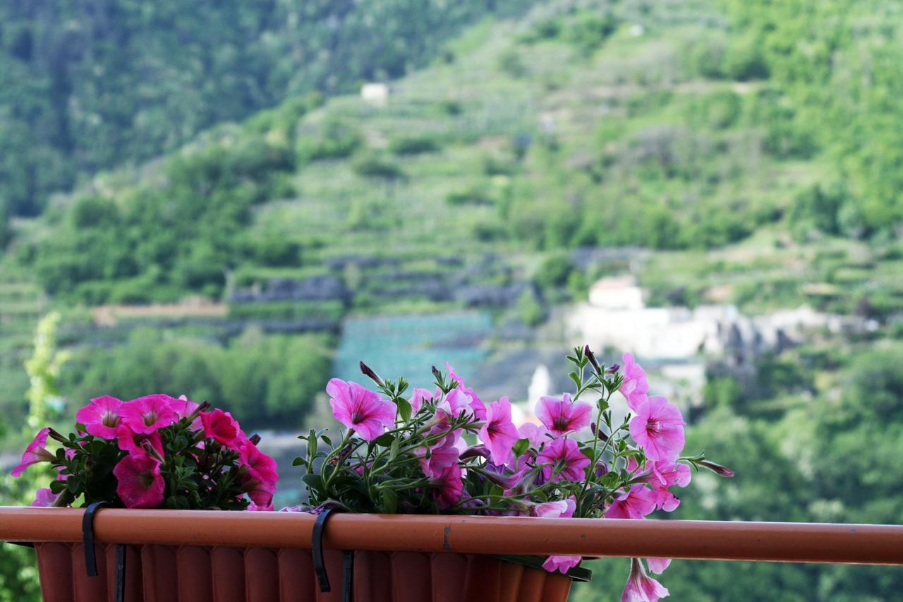 Tra I Monti Bed & Breakfast Tramonti Exterior photo